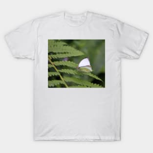 Great Southern White Male T-Shirt